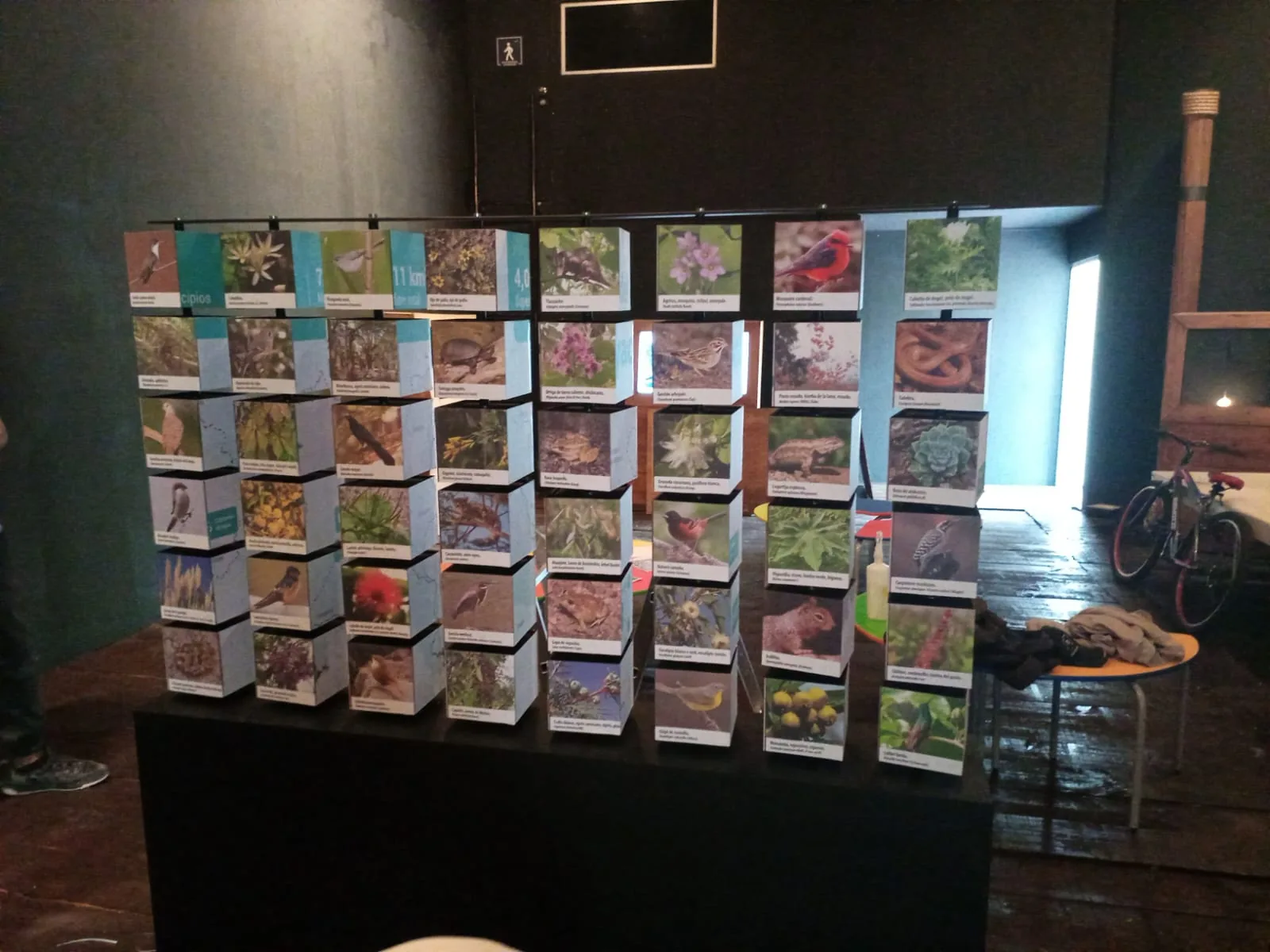 Museo MIRA Atoyac, registro museográfico, imagen 6